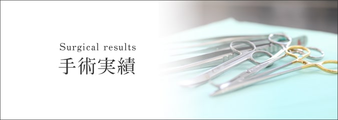 手術実績