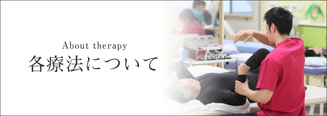 各療法について